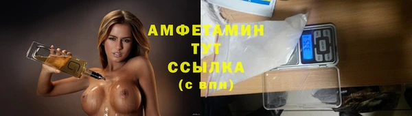 apvp Богородицк