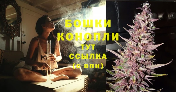 apvp Богородицк