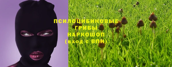 apvp Богородицк