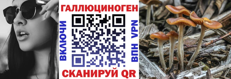 дарнет шоп  мега tor  Галлюциногенные грибы мухоморы  darknet наркотические препараты  Кондопога 